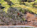 Wooded Golf Course Lot w/ Norris Lake Access, Tennessee