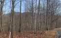 LOT IN GATED GOLF COURSE COMMUNITY IN THE MOUNTAINS OF NORTH CARO, North Carolina