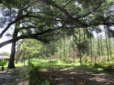  Ad# 6258460 golf course property for sale on GolfHomes.com