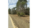 3 Beautiful partially cleared and partially wooded acres ready for sale in Lumberton Mississippi Pearl River County County on GolfHomes.com