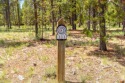  Ad# 6250057 golf course property for sale on GolfHomes.com