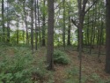  Ad# 6540154 golf course property for sale on GolfHomes.com