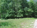 A Large 1/3 acre Wooded Lot is Overlooks West Side Park And Is for sale in Canadian Lakes Michigan Mecosta County County on GolfHomes.com