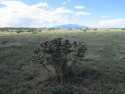 Escape to Southern Colorado's foothills and enjoy this 3 ac for sale in Walsenburg Colorado Huerfano County County on GolfHomes.com