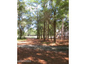This large, level homesite has a  view of the 13th tee-box and for sale in Supply North Carolina Brunswick County County on GolfHomes.com