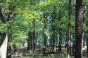 Beautiful LAKEFRONT lot in Miller Point. This lot has a good low for sale in Quitman Arkansas Cleburne County County on GolfHomes.com