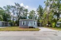 YOUR BRAND-NEW 2023 HOME! Welcome to the vibrant Sylvan Grove for sale in Brooksville Florida Hernando County County on GolfHomes.com