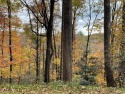 Enjoy mountain views from this 5-acre parcel in the Estates for sale in Cashiers North Carolina Jackson County County on GolfHomes.com