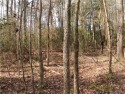 Approximately three (3) acres on level land. Conveniently for sale in New Kent Virginia New Kent County County on GolfHomes.com