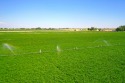 Irrigated productive farmland near the Deer Flat Low Line Canal for sale in Wilder Idaho Canyon County County on GolfHomes.com