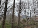 Nice winter mountain views of Chimneytop Mountain and for sale in Sapphire North Carolina Jackson County County on GolfHomes.com