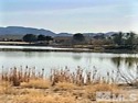 With Golf course amenities and spectacular wildlife, this is an for sale in Dayton Nevada Lyon County County on GolfHomes.com