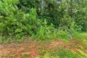  Ad# 6377672 golf course property for sale on GolfHomes.com