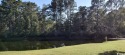Perfect for residential development (zoned MR10) or a Pawleys for sale in Pawleys Island South Carolina Georgetown County County on GolfHomes.com