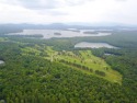 Nestled in the heart of the Adirondacks, Saranac Inn Golf and for sale in Saranac Lake New York Franklin County County on GolfHomes.com