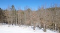 Build your dream home on this beautiful 0.76-acre lot located in for sale in Mountain View Arkansas Stone County County on GolfHomes.com