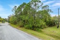 Build your custom home here on this wooded .72 acre lot that for sale in Grant Florida Brevard County County on GolfHomes.com