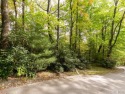Build your mountain getaway here on Trillium Court! Conveniently for sale in Sapphire North Carolina Jackson County County on GolfHomes.com