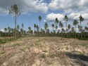 This land has a house pad with the stumps already cleared*this for sale in Sheridan Arkansas Grant County County on GolfHomes.com