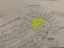 Wonderful Granada lake lot to build your *forever* home! 195' for sale in Hot Springs Village Arkansas Saline County County on GolfHomes.com