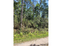 Are you looking for some space? This 1 acre lot in Boiling for sale in Boiling Spring Lakes North Carolina Brunswick County County on GolfHomes.com