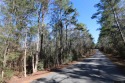 Wooded lot in restricted Rayburn Country.  This .33 acre, Texas