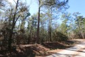 Wooded lot in restricted Rayburn Country, This is a .25 acre for sale in Brookeland Texas Jasper County County on GolfHomes.com
