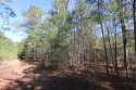 Wooded lot in restricted Rayburn Country. This is a .22 acre, Texas