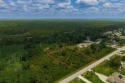 Fantastic opportunity to build your dream house on this for sale in Orlando Florida Orange County County on GolfHomes.com