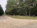 Fantastic wooded lot in the Pines subdivision of Canadian Lakes!, Michigan