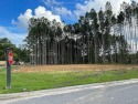 Very Nice Corner Lot that's already been cleared, Excellent view for sale in Hardeeville South Carolina Jasper County County on GolfHomes.com