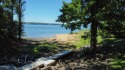 Sitting on the main channel of Douglas Lake with a beautiful for sale in White Pine Tennessee Jefferson County County on GolfHomes.com