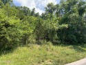 Outstanding Build Opportunity Near Norris Lake in Golf for sale in New Tazewell Tennessee Claiborne County County on GolfHomes.com