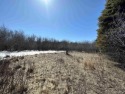Looking for a new large piece of acreage here in Escanaba? Look for sale in Escanaba Michigan Delta County County on GolfHomes.com