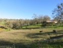 Sunny residential lot in Rancho Calaveras subdivision. Close to for sale in Valley Springs California Calaveras County County on GolfHomes.com