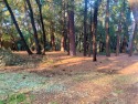 Nice Lot In Gated Community Of Forest Meadows: This .20 acre lot for sale in Murphys California Calaveras County County on GolfHomes.com
