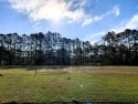 Unparalleled Opportunity: Build Your Dream Home on the Lake in for sale in Longs South Carolina Horry County County on GolfHomes.com