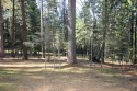 Rare golf course lot in Blue Lake Springs with level access and for sale in Arnold California Calaveras County County on GolfHomes.com