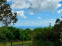Fabulous opportunity, well priced, very desirable Ocean View for sale in Naalehu Hawaii Big Island County County on GolfHomes.com