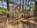 Great Residential Lot to Build your perfect home in Riverland for sale in Maumelle Arkansas Pulaski County County on GolfHomes.com