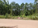 Three lovely interior lots, two which have already been cleared for sale in Hemphill Texas Sabine County County on GolfHomes.com