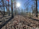 Beautiful Turkey Mountain Golf Course lot located on #14 Fairway for sale in Horseshoe Bend Arkansas Izard County County on GolfHomes.com