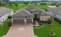 Refined Luxury Meets Unparalleled Golf Course Living! Immerse for sale in Ocala Florida Marion County County on GolfHomes.com