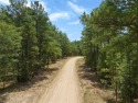 Hochatown Hidden Acres is the newest development for STR Cabins for sale in Broken Bow Oklahoma Mccurtain County County on GolfHomes.com