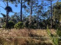 Enjoy the best of all worlds! Don't miss this dream homesite for sale in Edisto Beach South Carolina Colleton County County on GolfHomes.com