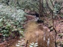 Right in the heart of Sapphire Valley, sitting at just over for sale in Sapphire North Carolina Jackson County County on GolfHomes.com