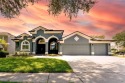 Located in the highly desirable Buckhorn Preserve neighborhood for sale in Valrico Florida Hillsborough County County on GolfHomes.com