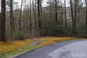 A McKee Development Neighborhood and Tom Fazio Designed Golf for sale in Cashiers North Carolina Jackson County County on GolfHomes.com