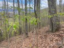 This home site is about half way up the mountain at around 3900 for sale in Burnsville North Carolina Yancey County County on GolfHomes.com