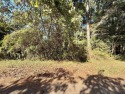 Two beautiful interior lots in the desirable Pendleton Harbor, Texas